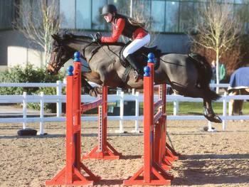 Lucy Gilsenan Gets the Win in the Dodson & Horrell 0.85m National Amateur Second Round at Holmside Hall Lucy Gilsenan Gets the Win in the Dodson & Horrell 0.85m National Amateur Second Round at Holmside Hall